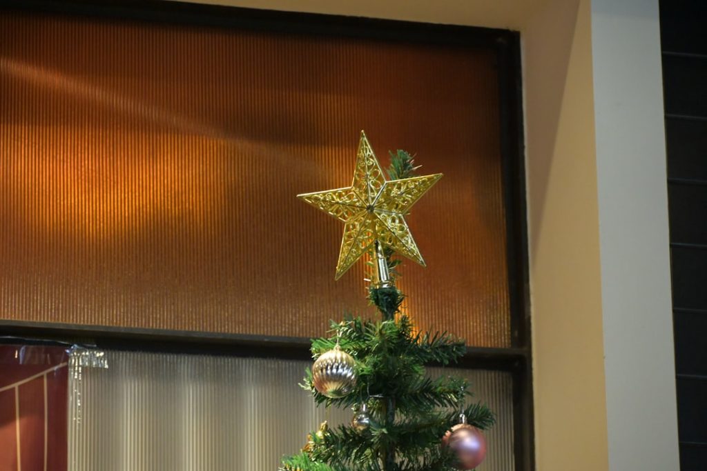 pflegehinweise für den weihnachtsstern: so bleibt ihre weihnachtsdekoration lange schön und gesund.