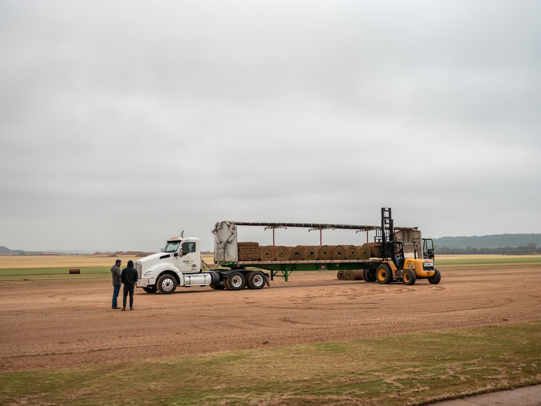 hochwertige rasenbodenmischungen für gesunden und dichten rasenwachstum. verbessern sie die bodenqualität und fördern sie kräftige graspflanzen.