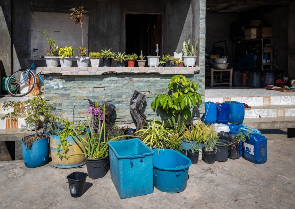 natürliche gartensysteme – nachhaltige und umweltfreundliche lösungen für ihren garten, die das wachstum fördern und die natur schützen.