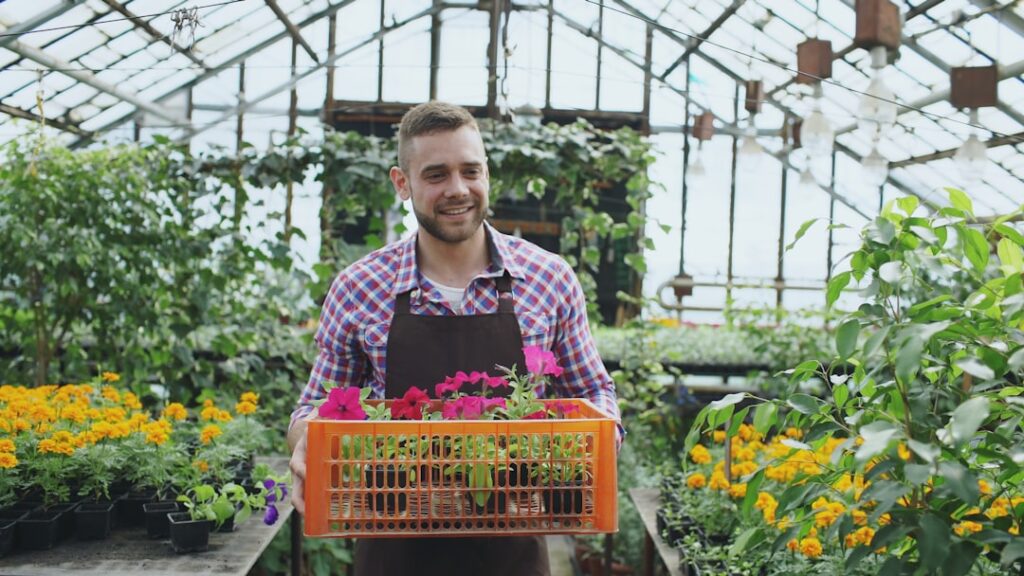erfahren sie, wie sie ihre petunien richtig pflegen, um üppige blüten und gesunde pflanzen das ganze jahr über zu genießen.