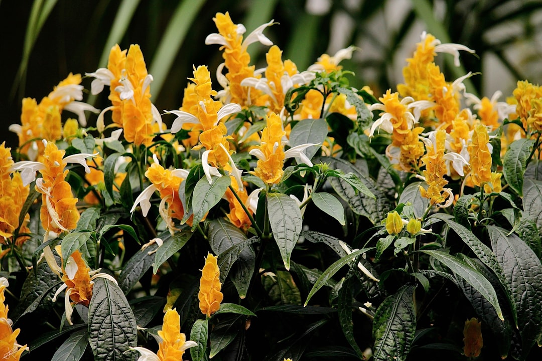 entdecken sie den zauberhaften sommer flieder – eine blume, die ihren garten mit ihrem betörenden duft und lebendigen farben verschönert. perfekt für sonnige sommertage.