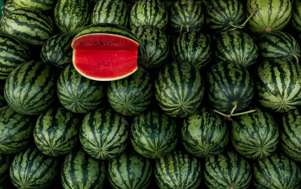 entdecken sie die erfrischende welt der wassermelone – saftig, süß und perfekt für heiße sommertage.