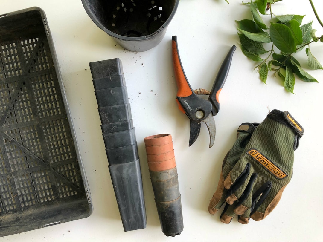 entdecken sie hilfreiche tipps, tricks und inspiration rund ums gärtnern für einen blühenden garten.